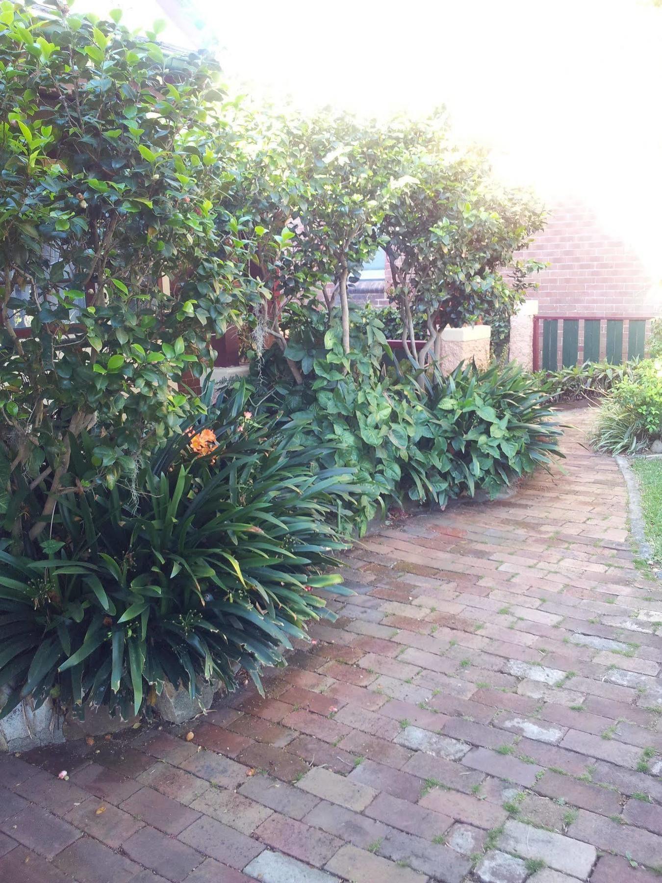 Hamilton Heritage B & B Νιούκασλ Εξωτερικό φωτογραφία